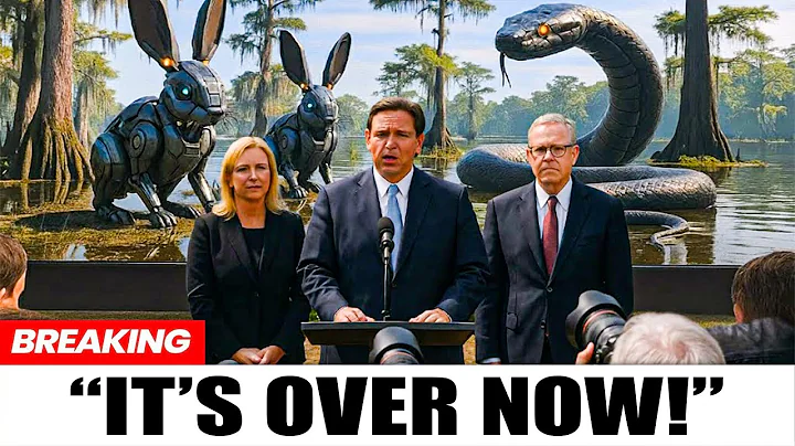 Florida Released HUNDREDS of Robotic Rabbits To Kill Pythons What Happened Next Shocked Everyone