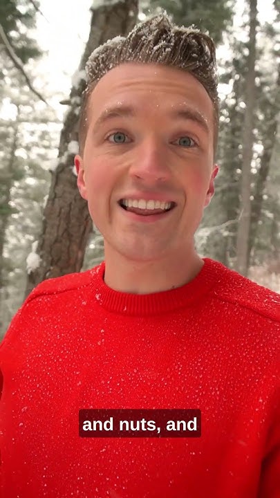 where-did-christmas-trees-come-from-youtube