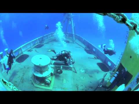 Kittiwake Time Lapse by Charles Hood