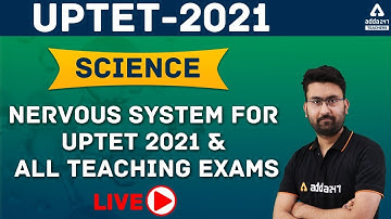 NERVOUS SYSTEM FOR UPTET 2021 & ALL TEACHING EXAMS