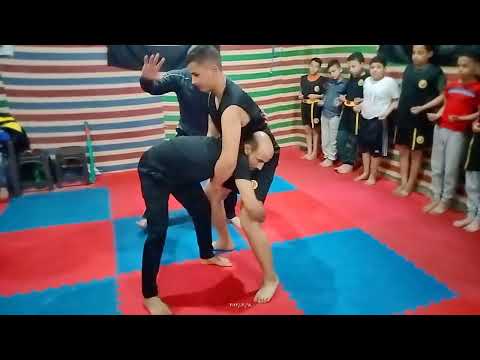 تعليم أساليب الكونغ فو في الساندا 