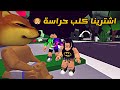 مذكرات 3 وش صار لما اشترينا كلب حراسة