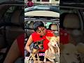 Dog foundation here in Nigeria Please subscribe to my channel #doglove #dogfoundation #lifestylevlog