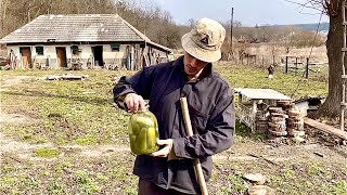 картинка: Новий метод посадки огірків — не насінням, а саджанцями.