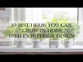 Best Herbs for Interior Spaces | High Oxygen producing plants for Interior Spaces |