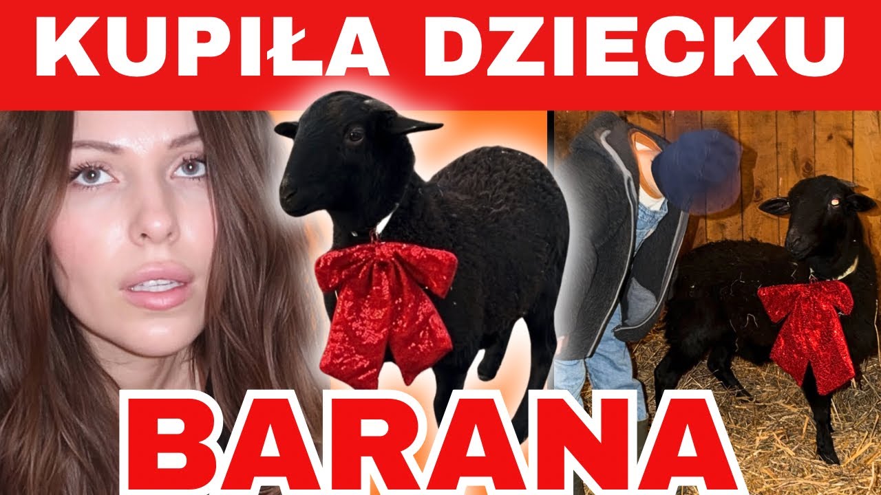 INFLUENCERKA kupiła dziecku BARANA‼️MONIKA I DZIECIAKI CUDAKI