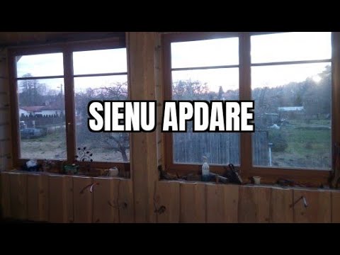 Video: Sienu Apdare Ar Fotogrāfijām: Metodes, Risinājumi, Idejas Telpas Dekorēšanai, Fotogrāfijas