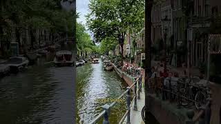 Quiet Haarlem streets: postcard enough? #travel #haarlem #shorts