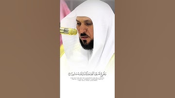 تلاوة فضيلة الشيخ د.ماهر المعيقلي-حفظه الله و رعاه🤍 #ماهرالمعيقلي