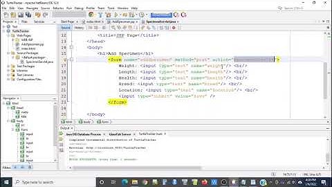 Create Servlet in Netbeans