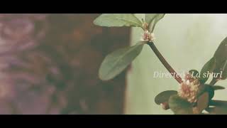 CINEMATIC || Hujan Penuh Berkah