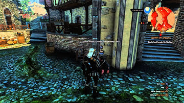 The Witcher 3: Wild Hunt  Glitch