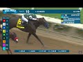 Pacific Classic - Mixto