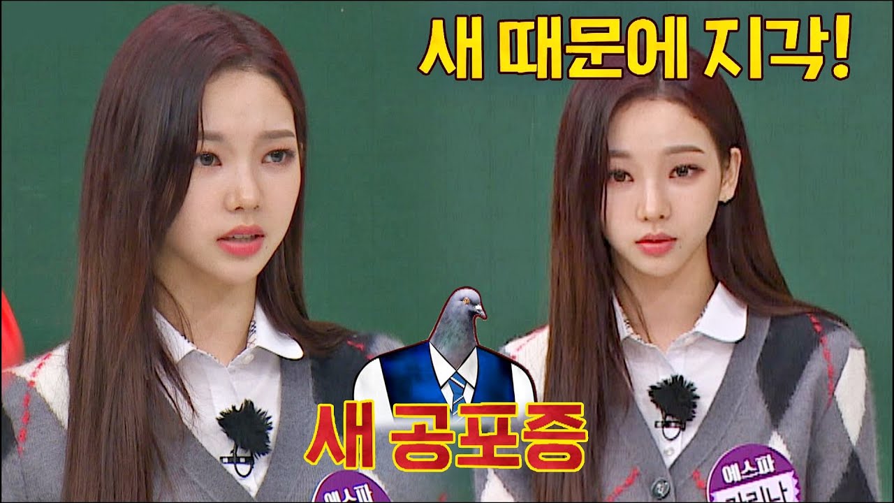 새 공포증 카리나(KARINA)가 지각한 이유▷등굣길에 마주한 비둘기😱 아는 형님(Knowing bros) 303회 | JTBC 211023 방송