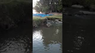 Camping Cascada Manantiales Ramallo, Buenos Aires Argentina