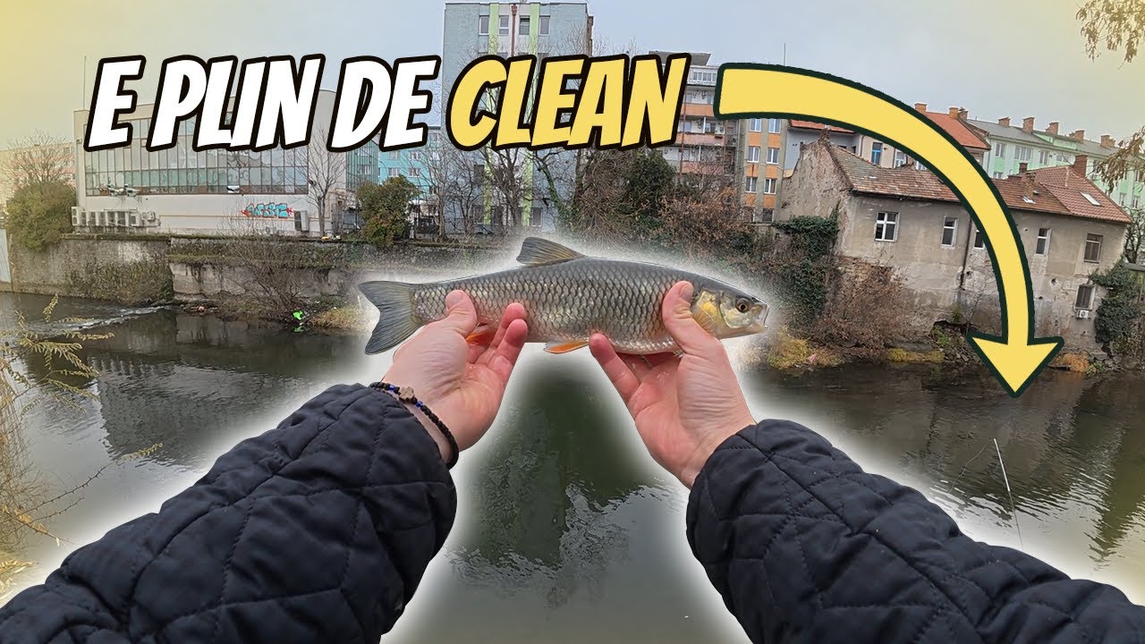 Am Pescuit la Clean pe Someș în Inima Clujului. O Scurtă Partidă de Street Fishing.