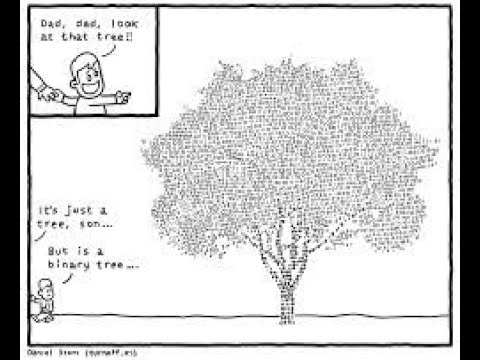 เขียนโปรเเกรมภาษา Python : Binary Tree