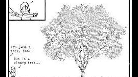 เขียนโปรเเกรมภาษา Python : Binary Tree