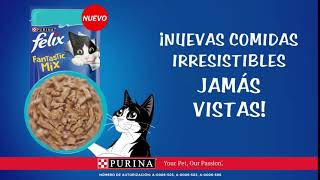 Descubre La Nueva Línea Purina Felix Fantastic
