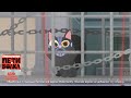 ДЕЛО КОТА #3 "Приключения Пети и Волка"