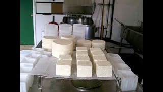 دراسة جدوي لمشروع مصنع صغير لانتاج الجبن