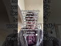 If creatures lived in the clouds, what would they look like? #imaginationmusic #imagine #images