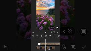 dissolve transition tutorial!🌷#shorts #shortvideo #shortsfeed #videoediting #alightmotion