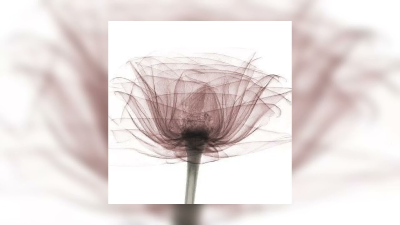 Coffee - BTS ( empty arena )