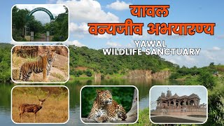 Yawal Wildlife Sanctuary | यावल वन्यजीव अभयारण्य