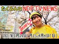 【NDP TV NEWS #14（2021/3/29~4/4）】出演：BMK 佐藤匠（たくみん）