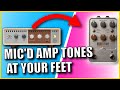 BRAND NEW Universal Audio OX Stomp Pedal Review | Mic&#39;d Amp Tones At Your Feet