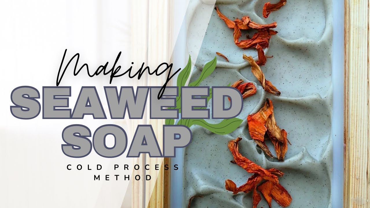 Making Seaweed Cold Process Soap | Natural Soap making