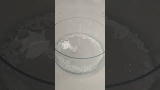 Bubbles Floating Above Dry Ice | Stasis Field
