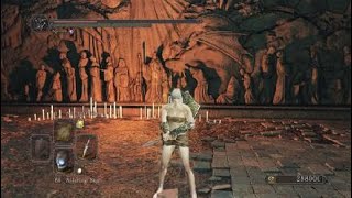 DS2:SOTFS - Elana, the Squaled Queen Hitless