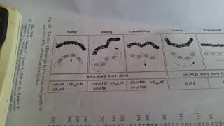 VREP Rotating gait snake robot study