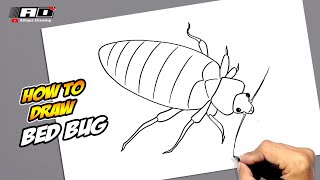 How to draw Bed Bug