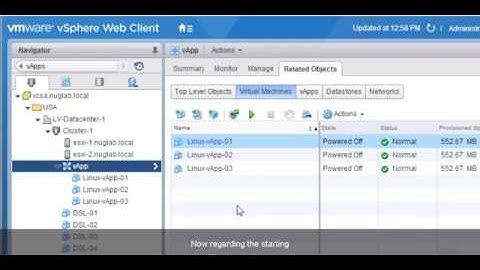 VMware vSphere 6 Using vApps