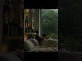 Safe in Each Other's Arms #herrainyroom #safesanctuary #comfort #rainambience #unreachable
