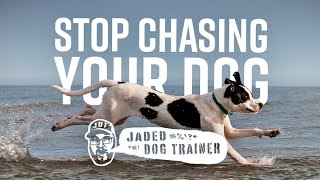 &quot;Come&quot;, Means Run Away - The Jaded Dog Trainer