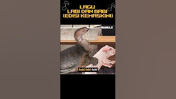 Thumbnail of Ada Labi Labi dan Babi (2025)
