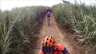 מקורות הירקון עם YBBIKE