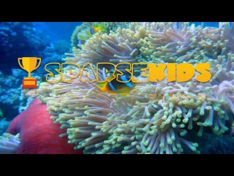 https://www.youtube.com/embed/C4HfgxyqKDw