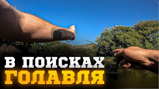 В ПОИСКАХ ГОЛАВЛЯ | Мы пошли туда, где никто не ходит... | Рыбалка на спиннинг в дебрях Подмосковья