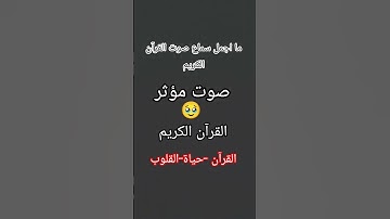 #ياسر_الدوسري #سورة_المؤمنون #قرآن #اكسبلور #المصحف #لايك #الرحمن #تيك_توك #راحة_نفسية