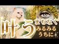 まもなくみるみる叶うこと❤️🙌😍💫✨🐲🐈‍⬛💕［タロット/占い/チャネリング/オラクル/御神託/ルノルマン/龍神］