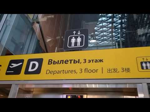 Аэропорт Шереметьево им Пушкина, Везде надписи на китайском. Мог ли  Пушкин, представить?