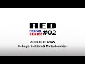 RED FRENCH SERIES #02 | Débayerisation &amp; Métadonnées