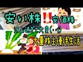 【株主優待】安い株安価大量株主優待生活