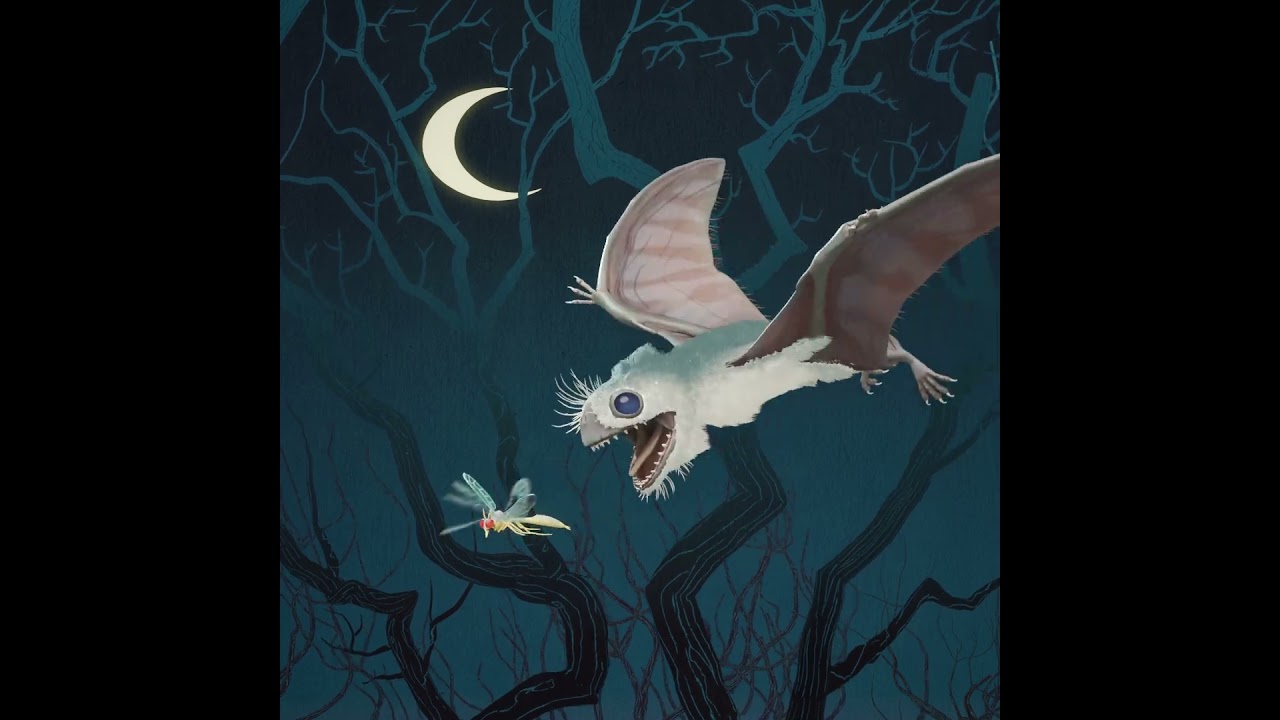 Sinomacrops JOHAN EGERKRANS 3D animation