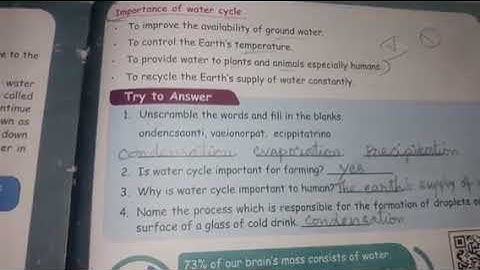 4 th std SCIENCE TERM-2 Unit 2-3 (EM)